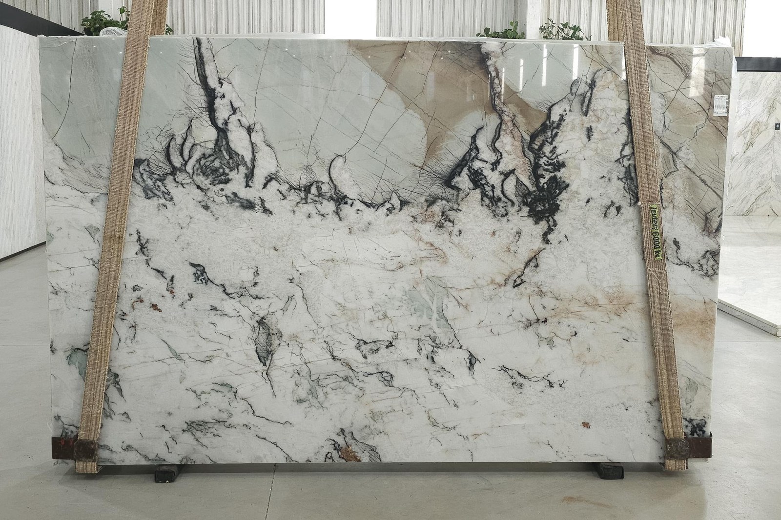 Bonsai Crystal Quartzite
