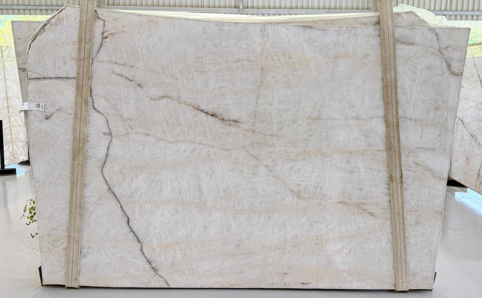 Cristallus Himalaia Quartzite