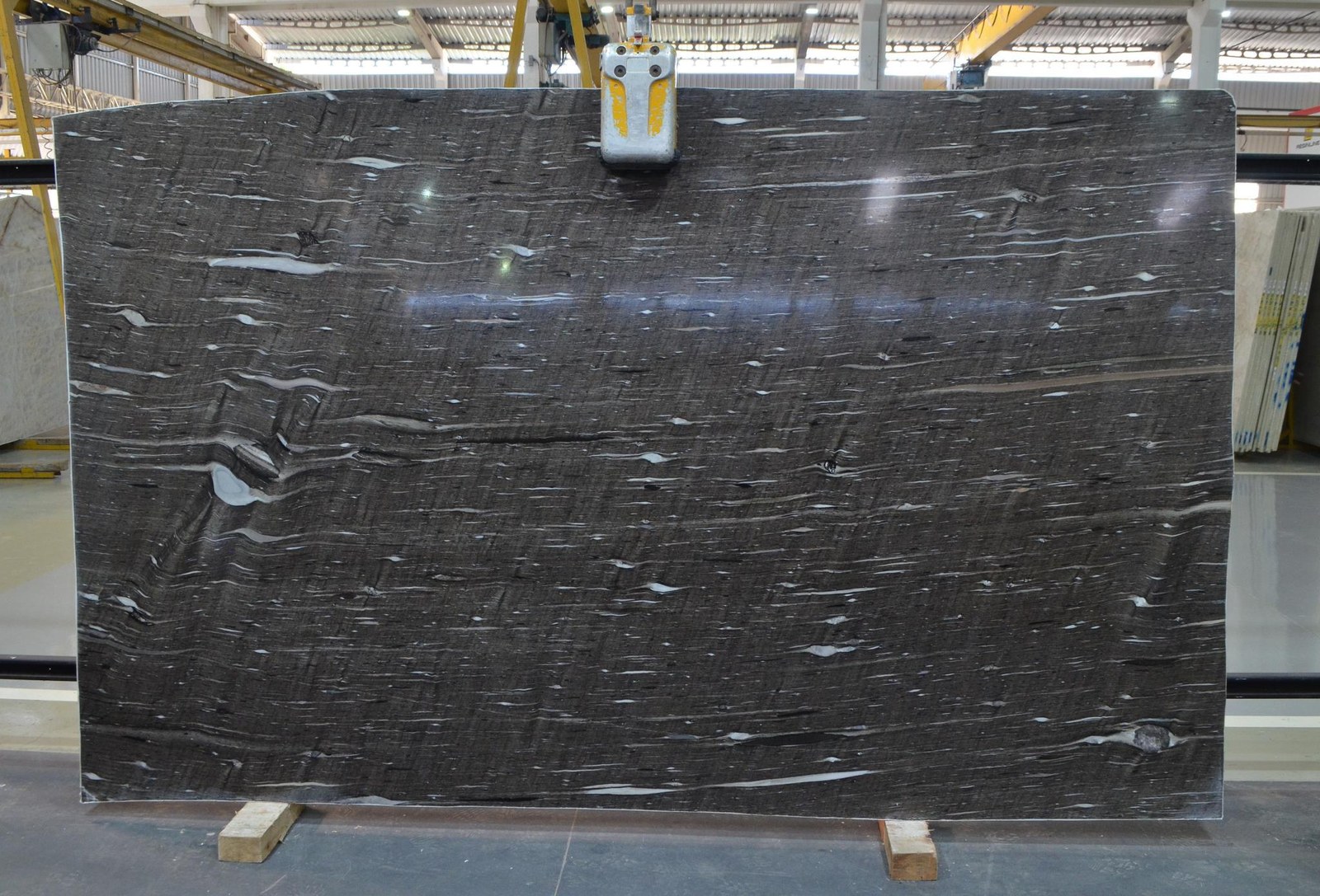 Cygnus Quartzite